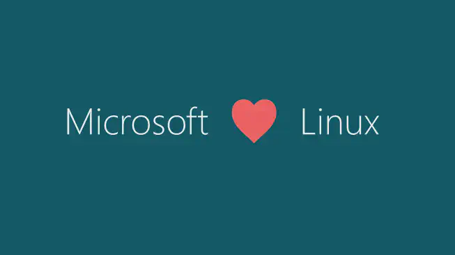 microsoft-linux_q1dxwi.webp