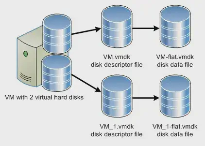 anatomy_avm_5_jipier.webp