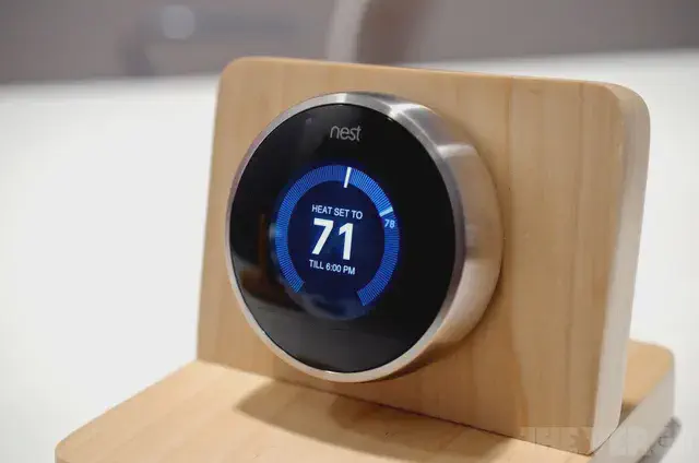 nest_taonw3.webp